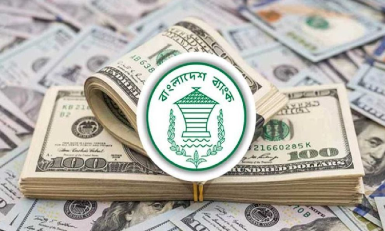 বাংলাদেশ ব্যাংক হঠাৎ বাজার থেকে ডলার কিনছে কেন?