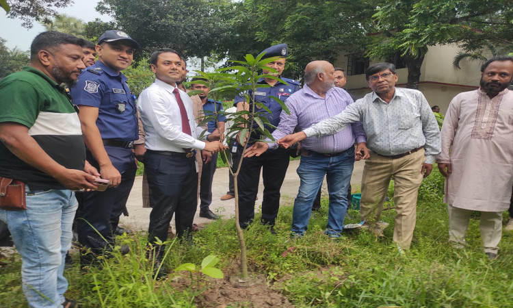রূপগঞ্জ প্রেসক্লাবের উদ্যোগে বৃক্ষরোপণ ও চারা বিতরণ