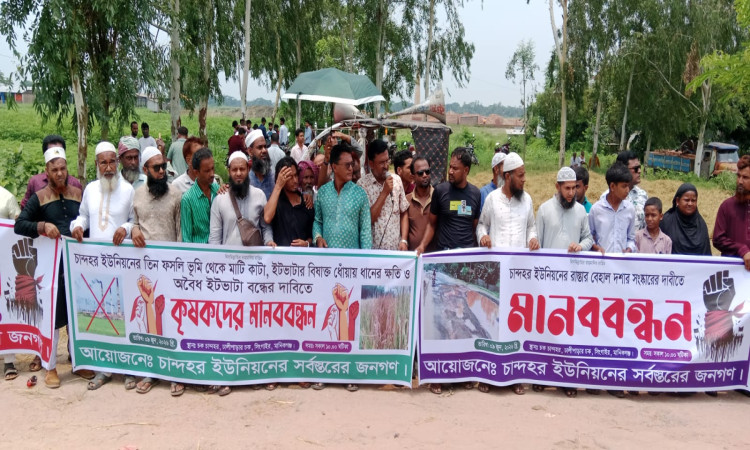সিংগাইরে তিন ফসলি জমি রক্ষা ও ইটভাটা উচ্ছেদে কৃষকদের মানববন্ধন