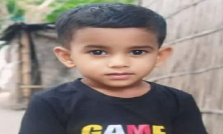 গোয়ালন্দে নানার বাড়িতে বেড়াতে এসে পানিতে ডুবে শিশুর মৃত্যু