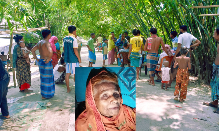 সরিষাবাড়ীতে জমি সংক্রান্ত বিরোধে বৃদ্ধা মা ও মেয়েকে মারধর