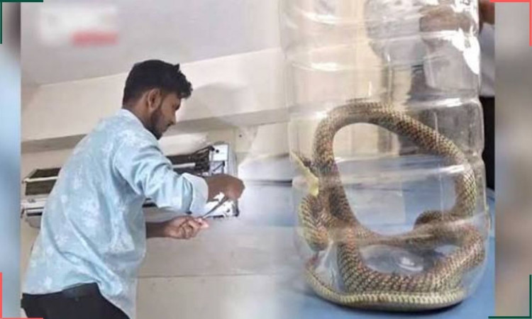 এসি খুলতেই চোখ কপালে! বরিশালের ক্লিনিকে মিলল ৪ ফুটের কালনাগিনী সাপ