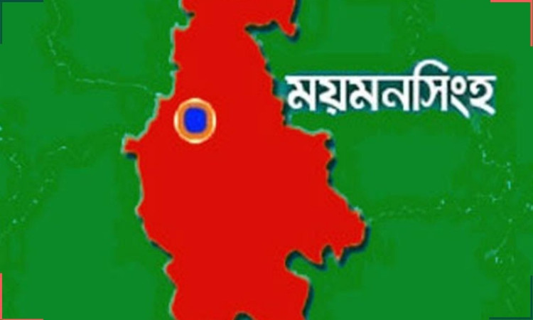 গফরগাঁওয়ে গৃহবধূকে সংঘবদ্ধ ধর্ষণের অভিযোগ, স্বামী ও মাকে বেঁধে মারধর