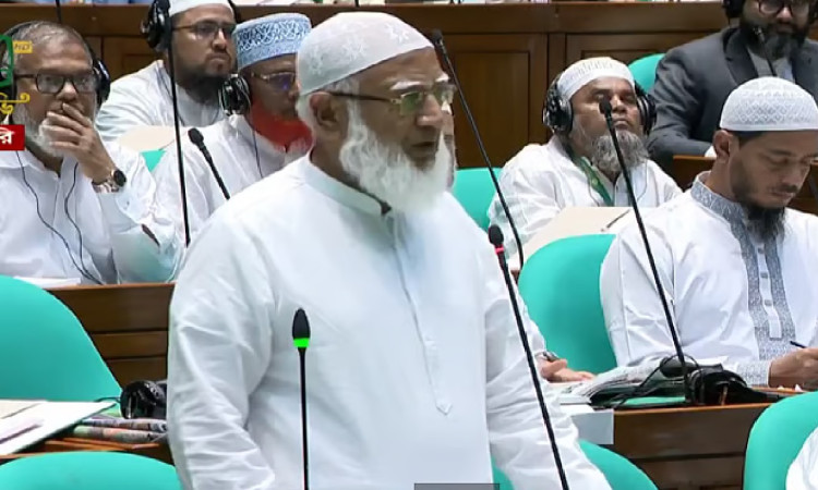 সংসদ দুই টায়ারের যান, একটিতে পেরেক মারলে অন্যটা চলবে না: শফিকুর রহমান