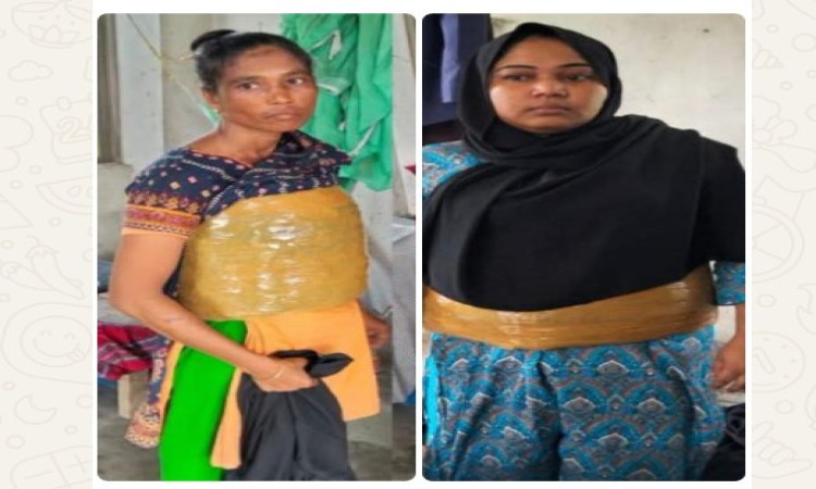 কুমিল্লার চান্দিনায় ৭ কেজি গাঁজাসহ দুই নারী মাদক পাচারকারী গ্রেপ্তার