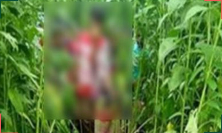 কেন্দুয়ায় অষ্টম শ্রেণির ছাত্রীকে পাটক্ষেতে নিয়ে ধর্ষণের অভিযোগ