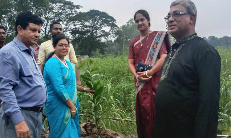 গোয়ালন্দে জলবায়ু সচেতনতায় বৃক্ষের চারা বিতরণ ও রোপণ