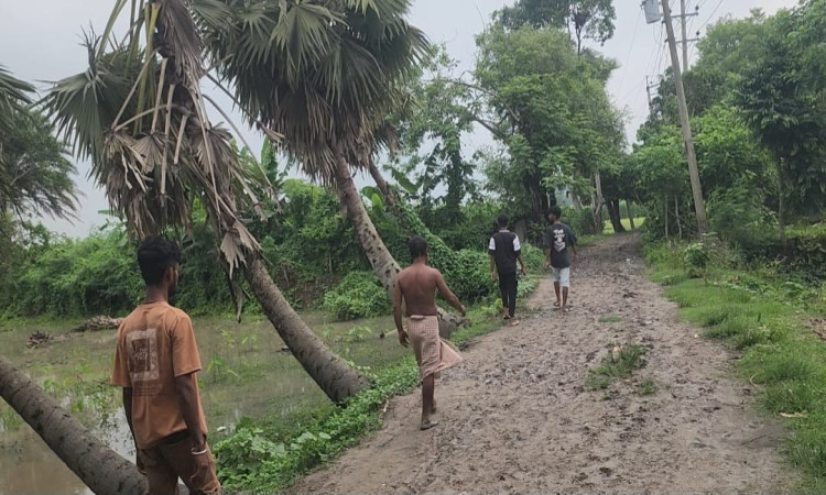 নড়াইলে বর্ষা নামলেই বিচ্ছিন্ন গ্রামীন জনপদ, কাঁচা রাস্তায় চলাচলে ভোগান্তি 9
