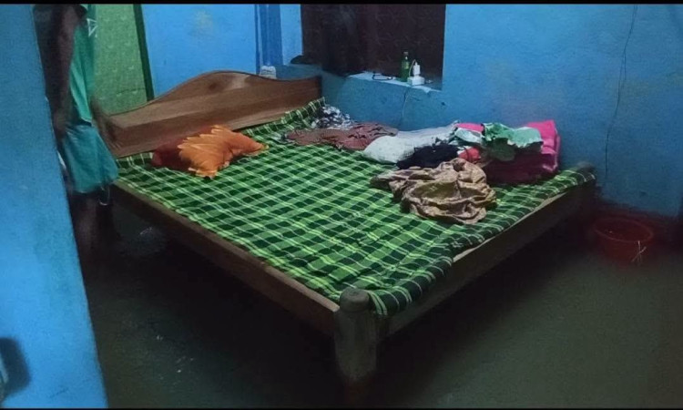 টানা বৃষ্টিতে সাতক্ষীরা জলমগ্ন, ৬ হাজার হেক্টর আউশ ধানের ক্ষতি