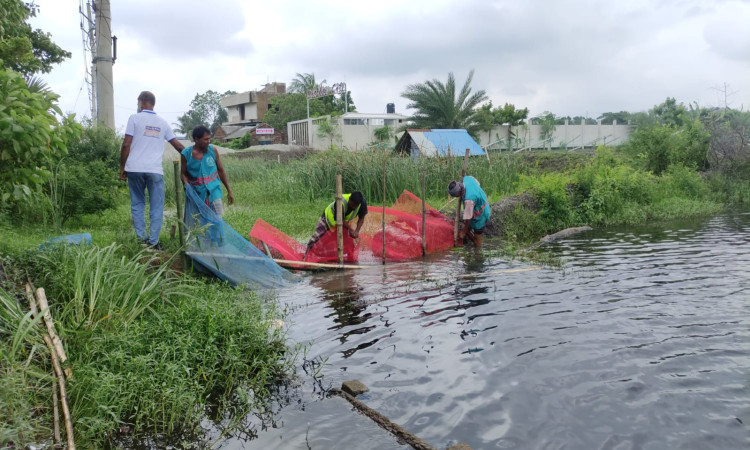 সাতক্ষীরায় অবৈধ নেট-পাটা উচ্ছেদ শুরু, জলাবদ্ধতা রুখতে কঠোর জেলা প্রশাসন