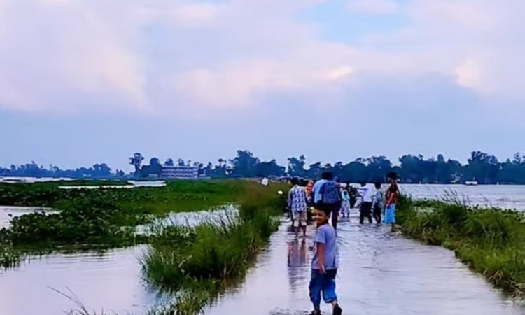 বর্ষার শুরুতে নবরূপে চলনবিল: প্রাকৃতিক সৌন্দর্য উপভোগে দর্শনার্থীদের ঢল