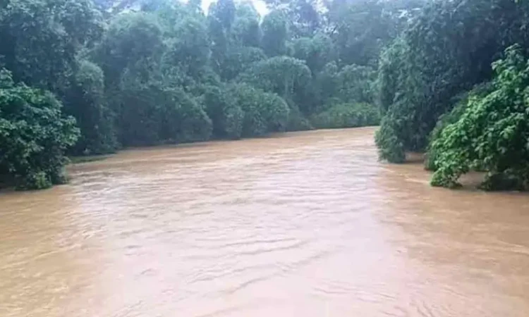 তিন জেলার তিন স্টেশনে নদীর পানি বিপৎসীমার ওপরে