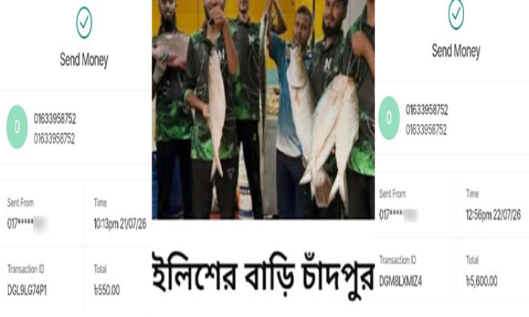 চাঁদপুরের ইলিশ বিক্রয়ের নামে অভিনব প্রতারণা, মাছও পেলো না- টাকাও গেলো