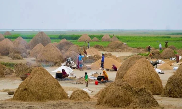 গ্যাস সংকটে বন্ধ ৩টি সার কারখানা, খাদ্য নিরাপত্তায় ডব্লিউএফপির চরম সতর্কতা