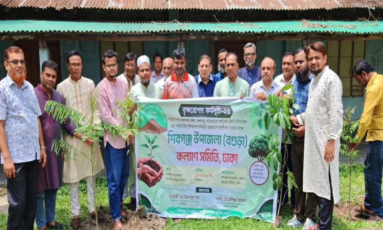 শিবগঞ্জ ও মোকামতলায় দিনব্যাপী বৃক্ষরোপণ কর্মসূচি পালন