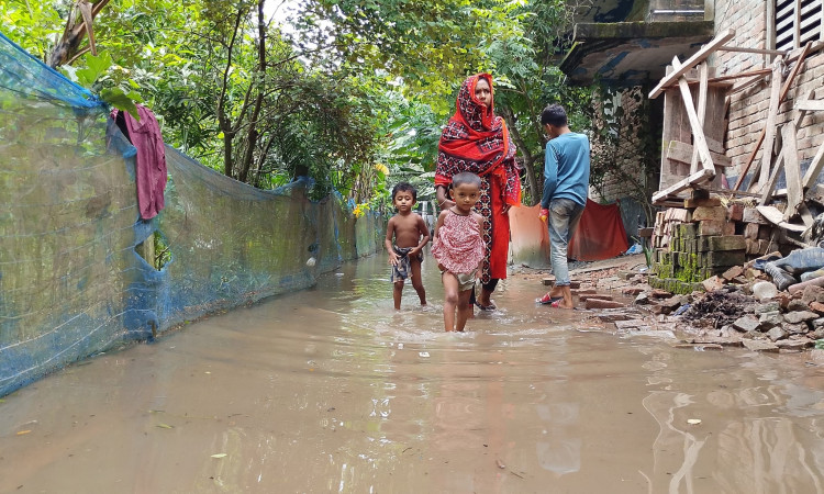 সাতক্ষীরায় অপরিকল্পিত মৎস্য ঘের: পানিবন্দী হাজারও মানুষ, সড়ক-শিক্ষা প্রতিষ্ঠান প্লাবিত