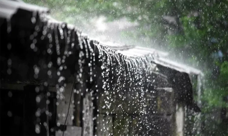 দুপুরের মধ্যে ৩ অঞ্চলে তীব্র ঝোড়ো হাওয়াসহ বজ্রবৃষ্টির আভাস