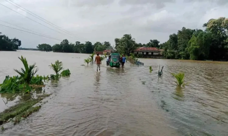 . তিস্তা-দুধকুমার অববাহিকায় বন্যার শঙ্কা: ঝুঁকিতে ৫ জেলা