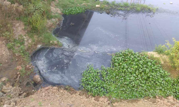 শিল্পবর্জ্যের বিষে মরণদশা ভালুকার খিরু নদীর