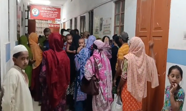 নড়াইলে ভ্যানের চাপায় ২ বছরের শিশুর করুণ মৃত্যু