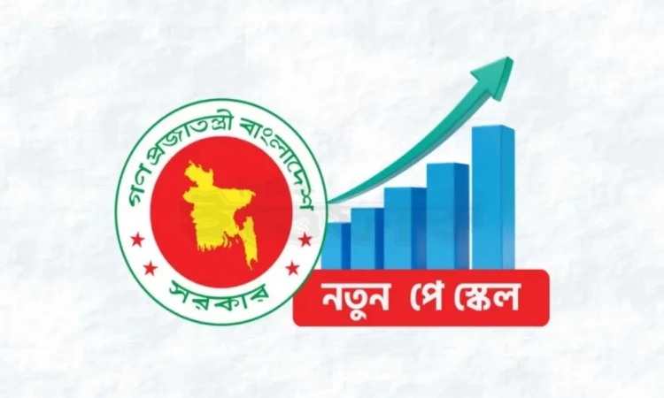 ১০০% পর্যন্ত বেতন বৃদ্ধির সুপারিশ নিয়ে যাচ্ছে মন্ত্রিসভায়