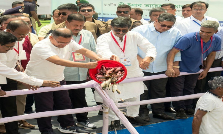 মৎস্য চাষ ও আহরণে বাংলাদেশের সম্ভাবনা উজ্জ্বল: প্রধানমন্ত্রী