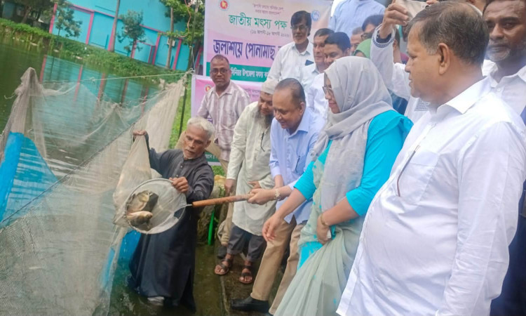 সিংগাইরে জাতীয় মৎস্য পক্ষ উপলক্ষে বর্ণাঢ্য র্যালি ও আলোচনা সভা অনুষ্ঠিত