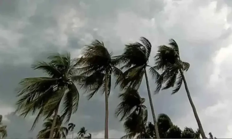 গভীর রাতের মধ্যে ১৫ অঞ্চলে ঝোড়ো হাওয়াসহ বৃষ্টির শঙ্কা