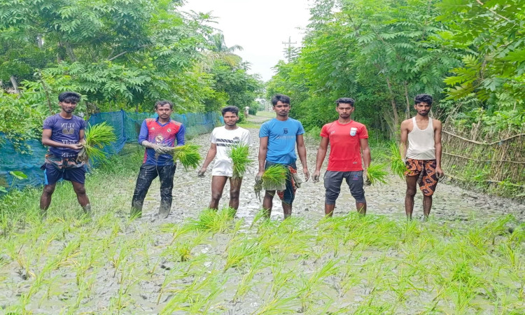 রাস্তা সংস্কারের দাবিতে কাদায় ধান রোপণ করে প্রতিবাদ