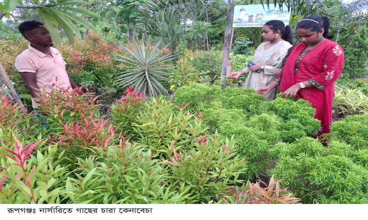 রূপগঞ্জে ছাদবাগান ও নার্সারি ঘিরে নীরব বিপ্ল