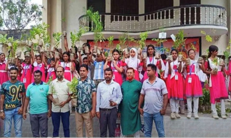 প্লাস্টিক বোতলে মিলছে গাছের চারা