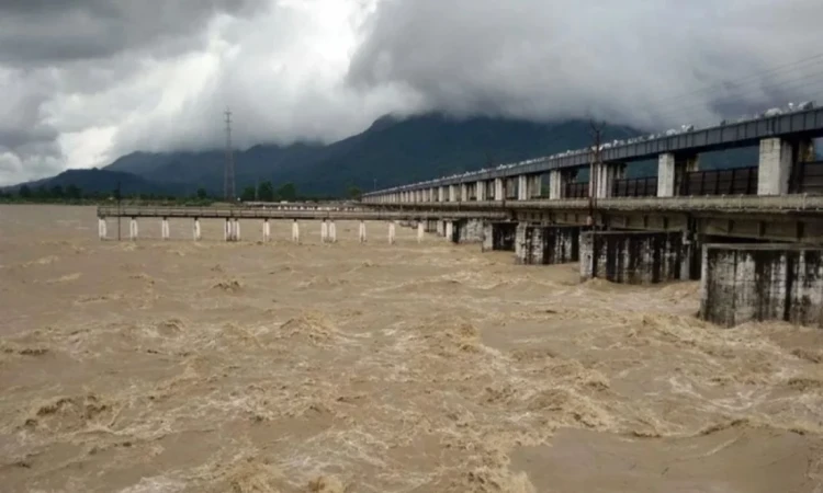 নেপালের প্রলয় রূপ বিহারে: রসুয়ার আকস্মিক বান ও পাহাড়ি ঢলে তছনছ বিস্তীর্ণ এলাকা