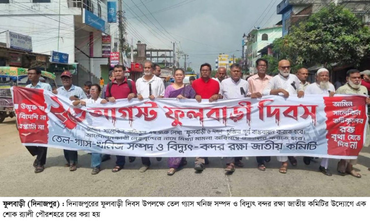 ফুলবাড়ীর দিকে তাকালেই তারা কয়লা ছাড়া কিছুই দেখে না: আনু মুহাম্মদ