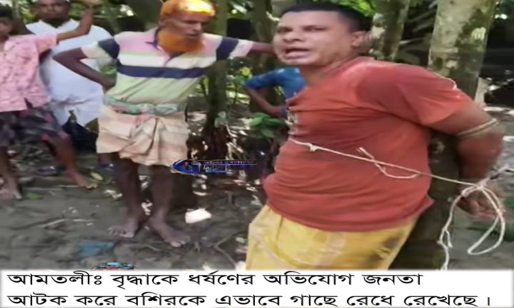 তালতলীতে ফ্যামিলি কার্ড ও ভাতার প্রলোভন দেখিয়ে বৃদ্ধাকে ধর্ষণের অভিযোগ