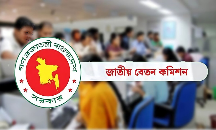 নতুন পে-স্কেল: মন্ত্রিসভার বৈঠকে উঠছে খসড়া, বৃহস্পতিবারই প্রজ্ঞাপন জারির সম্ভাবনা