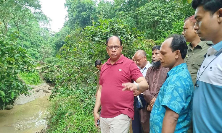 সাতছড়িতে বন্যপ্রাণীদের পানি সংকট নিরসনে জলাধার খননের তাগিদ