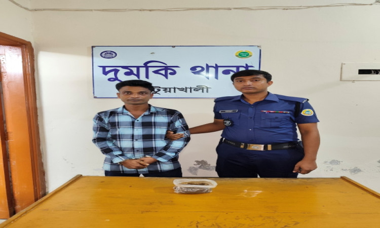 দুমকিতে ৫০ গ্রাম গাঁজাসহ চা দোকানদার গ্রেপ্তার