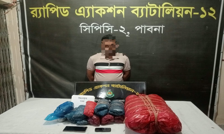 পাবনায় ১৪.২৫ কেজি গাঁজাসহ এক মাদক কারবারি গ্রেপ্তার