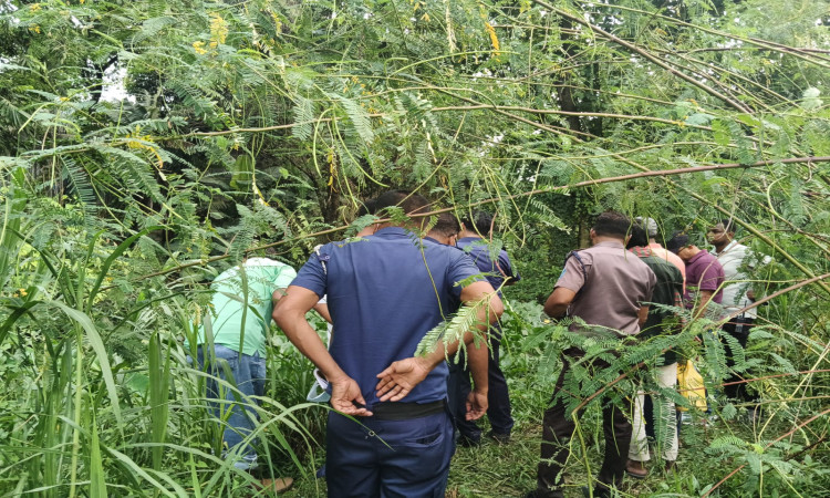 সিংগাইরে কচুরিপানা থেকে অজ্ঞাত কিশোরের লাশ উদ্ধার