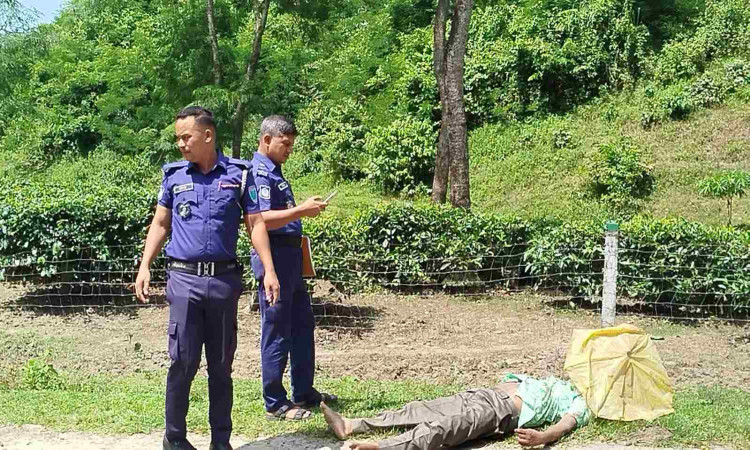 সাতছড়িতে সিএনজি উল্টে প্রাণ গেল ব্যবসায়ীর