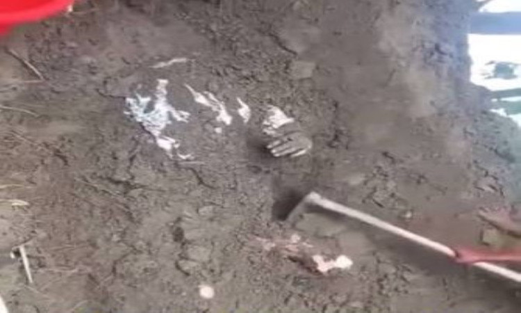 তিন লাখ টাকা সুদের লেনদেনে ব্যবসায়ীকে হত্যা করে মাটিচাপা