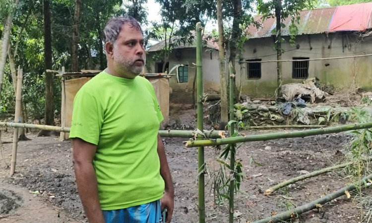 ভালুকায় জমি দখলে গাছ কাটার অভিযোগ, পৌনে তিন লাখ টাকার ক্ষতি