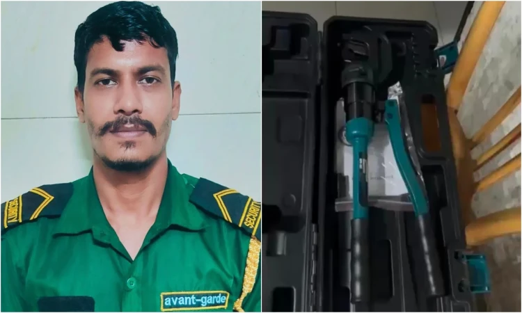 ফ্রান্সে বসে দুলাভাইয়ের সোনা চুরির ছক, দেশে বাস্তবায়ন শ্যালকের!