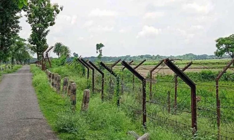 ঠাকুরগাঁও সীমান্তে বিএসএফের গুলিতে বাংলাদেশি নিহত, আটক ২