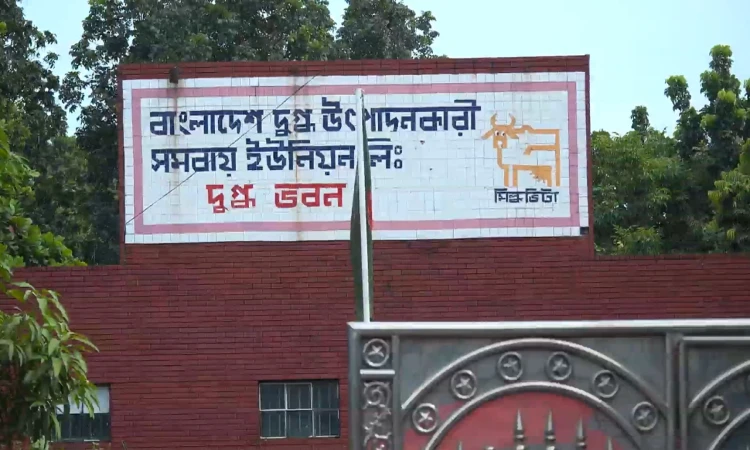 সব ব্র্যান্ডের তরল দুধের দাম লিটারে বাড়ল ১০ টাকা