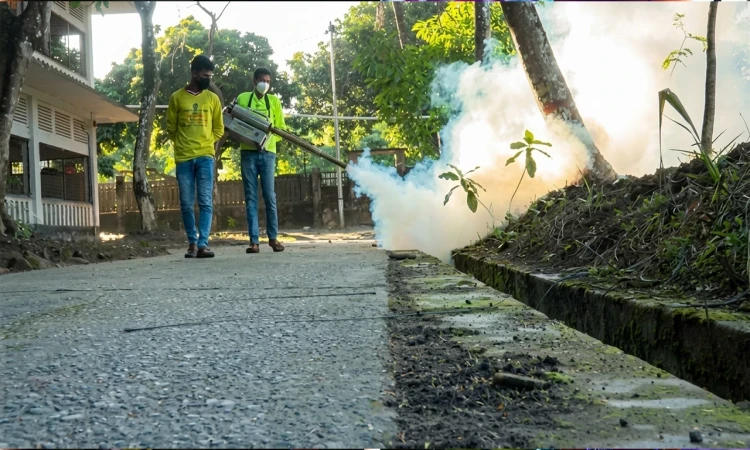 রাজধানীতে লার্ভা ধ্বংসে ১০০ দিনের বিশেষ পরিকল্পনা হাতে নিয়েছে ডিএনসিসি