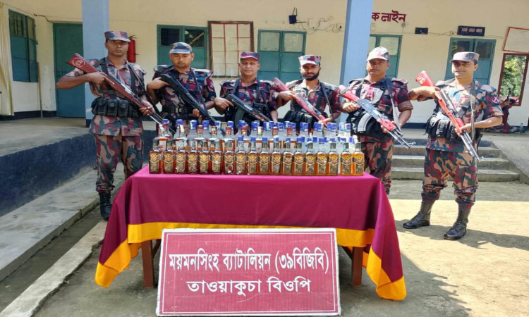 বিজিবির অভিযানে মিলল বিপুল পরিমাণ ভারতীয় মদ