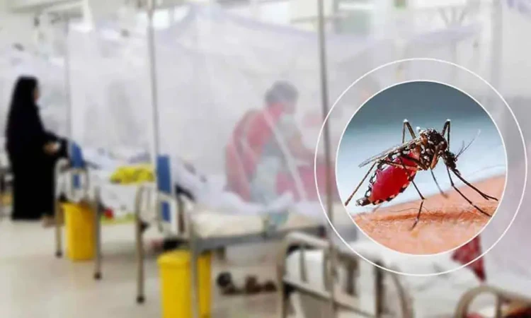 ২৪ ঘণ্টায় নতুন ডেঙ্গু রোগী ২ হাজার ১৫৮, মৃত ৬