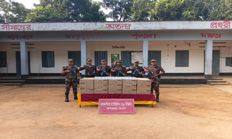 শ্রীবরদীর সীমান্তে বিপুল ভারতীয় জনসন বেবি সাবান জব্দ