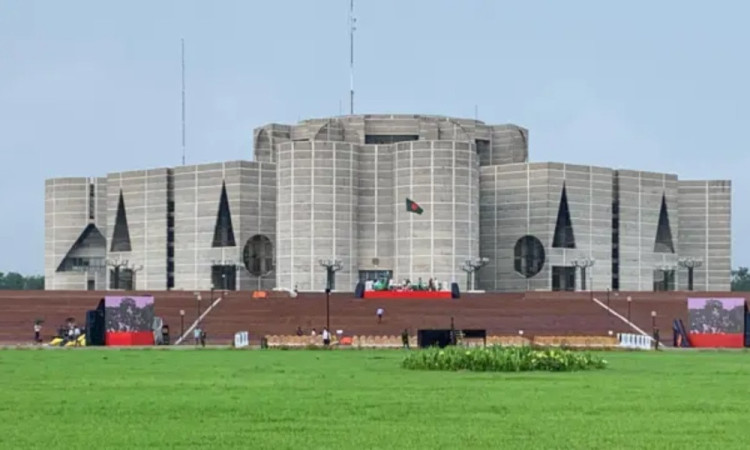 পদত্যাগ করলেন সংসদ সদস্য ফেরদৌসী আহমেদ মিষ্টি, আসন শূন্য